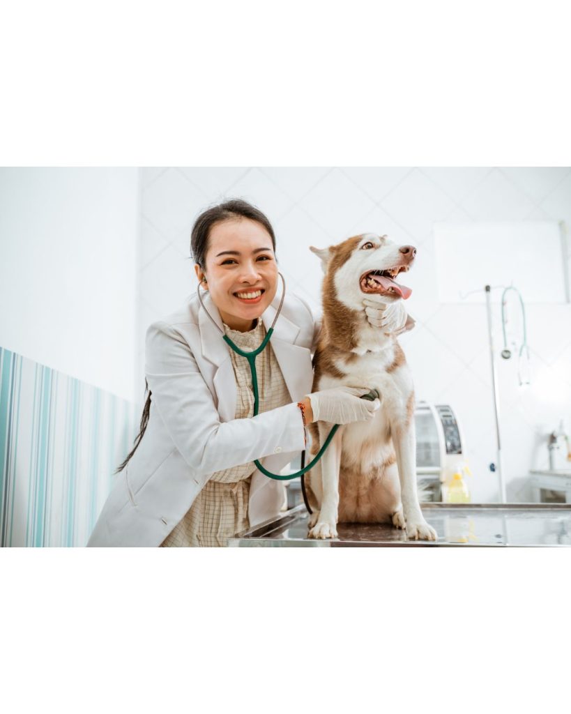 rabies vaccine